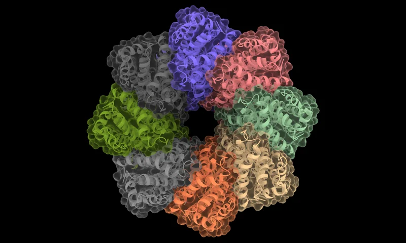 Prodigy Binding Affinity Prediction